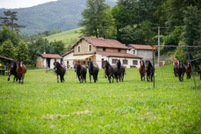 Agriturismo Carovane